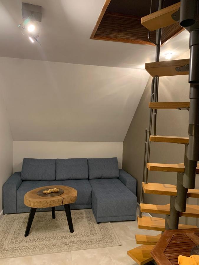 Apartament Lisi Jar Ястшембя-Гура Екстер'єр фото